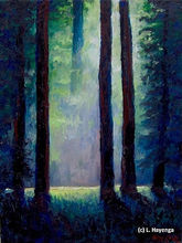 Beams of bright light highlight a small area in a deep green shadowy forest.