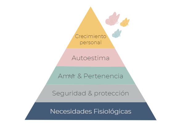 Pirámide de necesidades de Steno (House-Coaching Institute)
