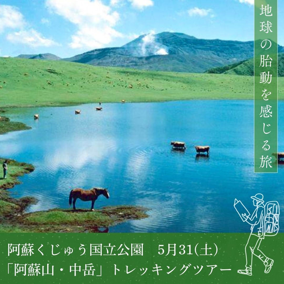 平尾台新緑の阿蘇山中岳火口プライベートトレッキングツアー旅行会社団体ガイド