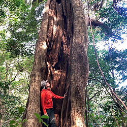 北九州市地球のかけら平尾台修学旅行団体自然体験森林セラピートレッキングガイド