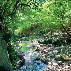 福岡人気観光スポット平尾台千仏鍾乳洞家族女子旅行ツアー子供夏休み沢登りアウトドアツアーアクテビティ