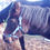 Thumbnail: Dbl webbing headstall
