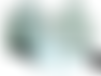 ARCHIE AND THE STORMY RIDE