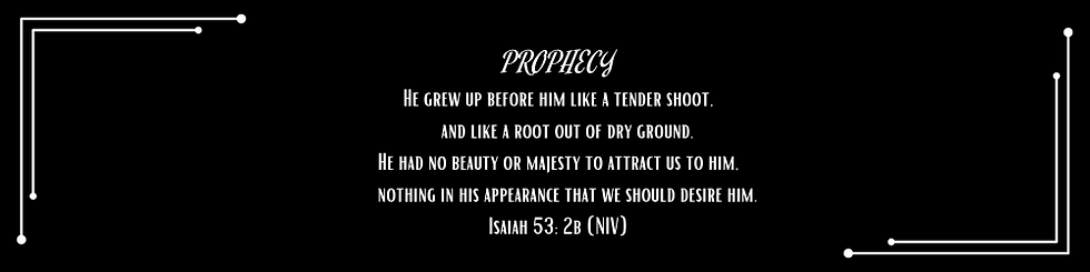 PROPHECY 49