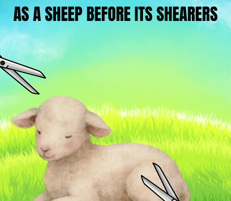 AS A SHEEP BEFORE ITS SHEARERS