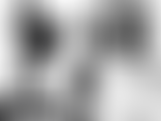 FROM THE SEED OF DAVID