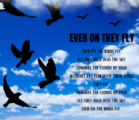 EVER ON THEY FLY