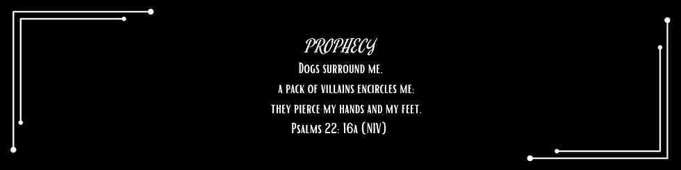 PROPHECY 235