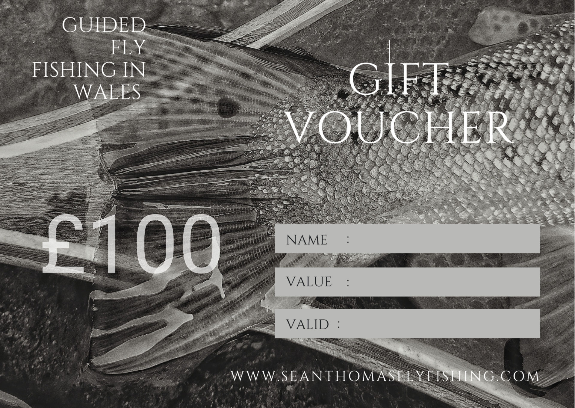 Gift voucher £100