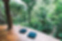 Yoga+Forest-204.jpg