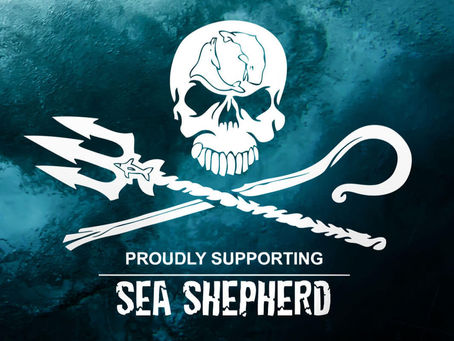 Mittwoch, 15. Februar 23, Tag -20: