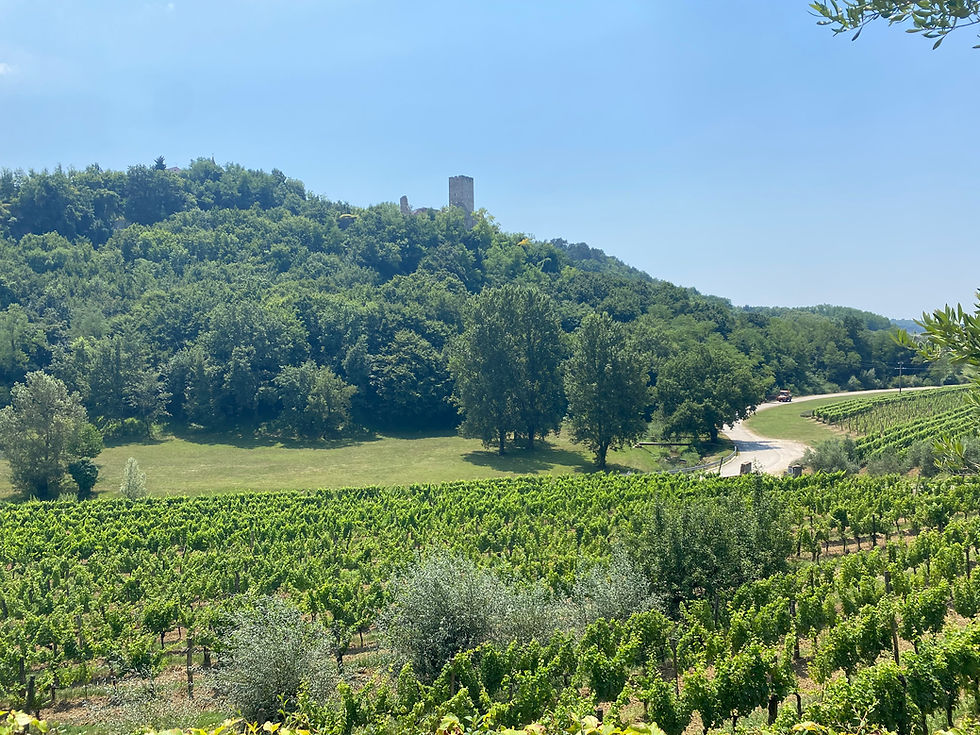 Thumbnail: 7 Day Itinerary & Map - Istria Wineries
