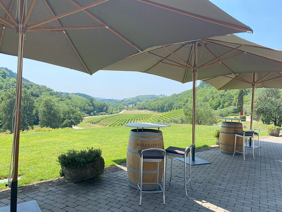 Thumbnail: 7 Day Itinerary & Map - Istria Wineries