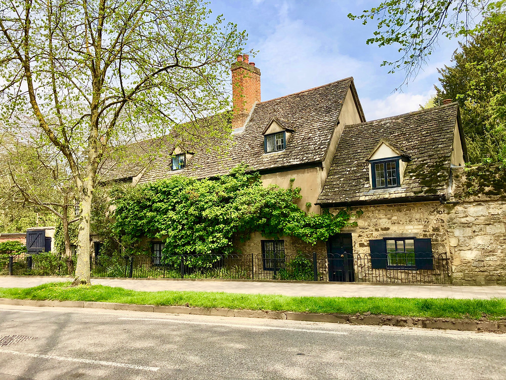 A house with greenery covering it.