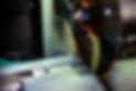 Arcotec-centro-taglio-01.jpg