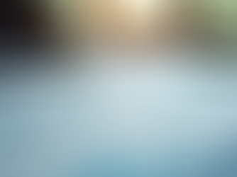 How to Maximize Your Startup's Worth with Professional Business Valuation Services in New York