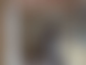 作庭、まずは下打合せ