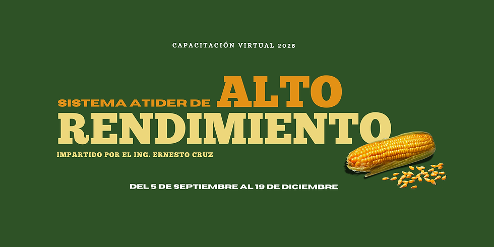 Banner web - 2048 x 1024 px.png