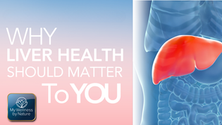 The Liver Secret Why Liver Health Matters for Wellness and Longevity
