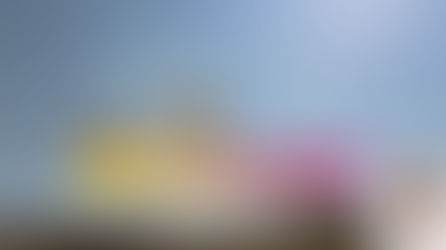 Transforming Prejudice & Hate Into Love: Vol.4 "The Dialogues"