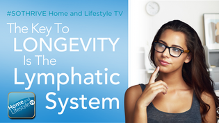 Lymphatic Health and Longevity The Overlooked System Behind Energy and Wellness