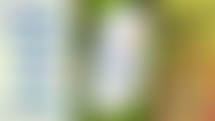 The truth is, not all probiotics are created equally. Differences in strains, formulation, and quality can affect how well a probiotic works for you. Today we explore what sets Belly Buddies Probiotic apart in a crowded supplement world and how Dr. Desilva’s customer-first approach makes a real difference.