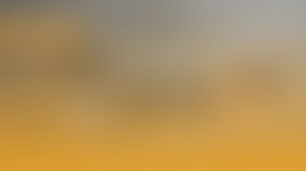 10-Minute Pilates Routine: Build Your Core and More