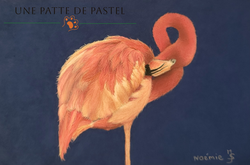 Grâce - Toutes occasions