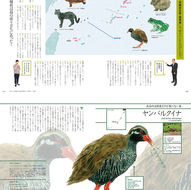 Discover Japan『世界遺産をめぐる冒険』