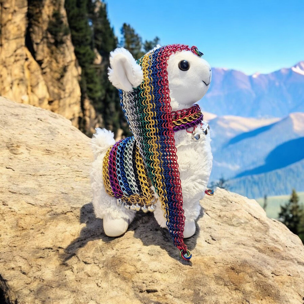 20250525_185411 (1).jpg