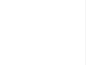 border.png