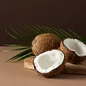 coconut.webp