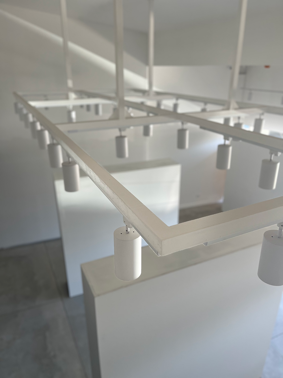 Cóctel de Inauguración
