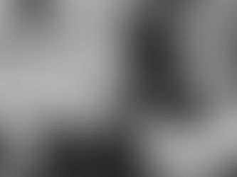 Unicorns, Sparkles & Bold Transformations: Why Judi Brown Is Denver’s Vivid Hair Queen