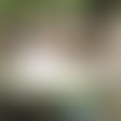 Amud Stream Nature Reserve – Upper Amud Stream trail