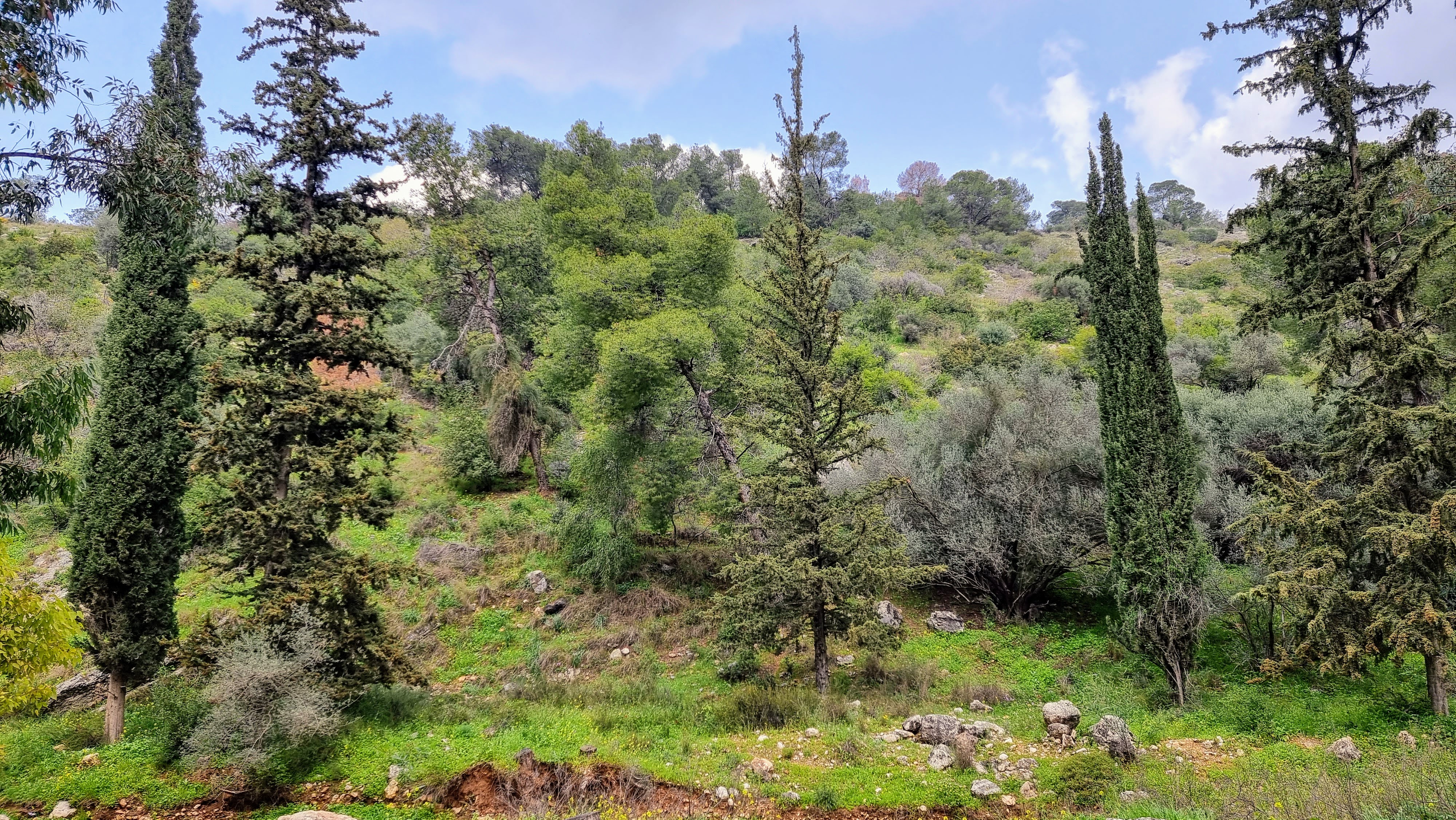 אנדרטת מגילת האש, שביל הקדושים ויד אנה פרנק