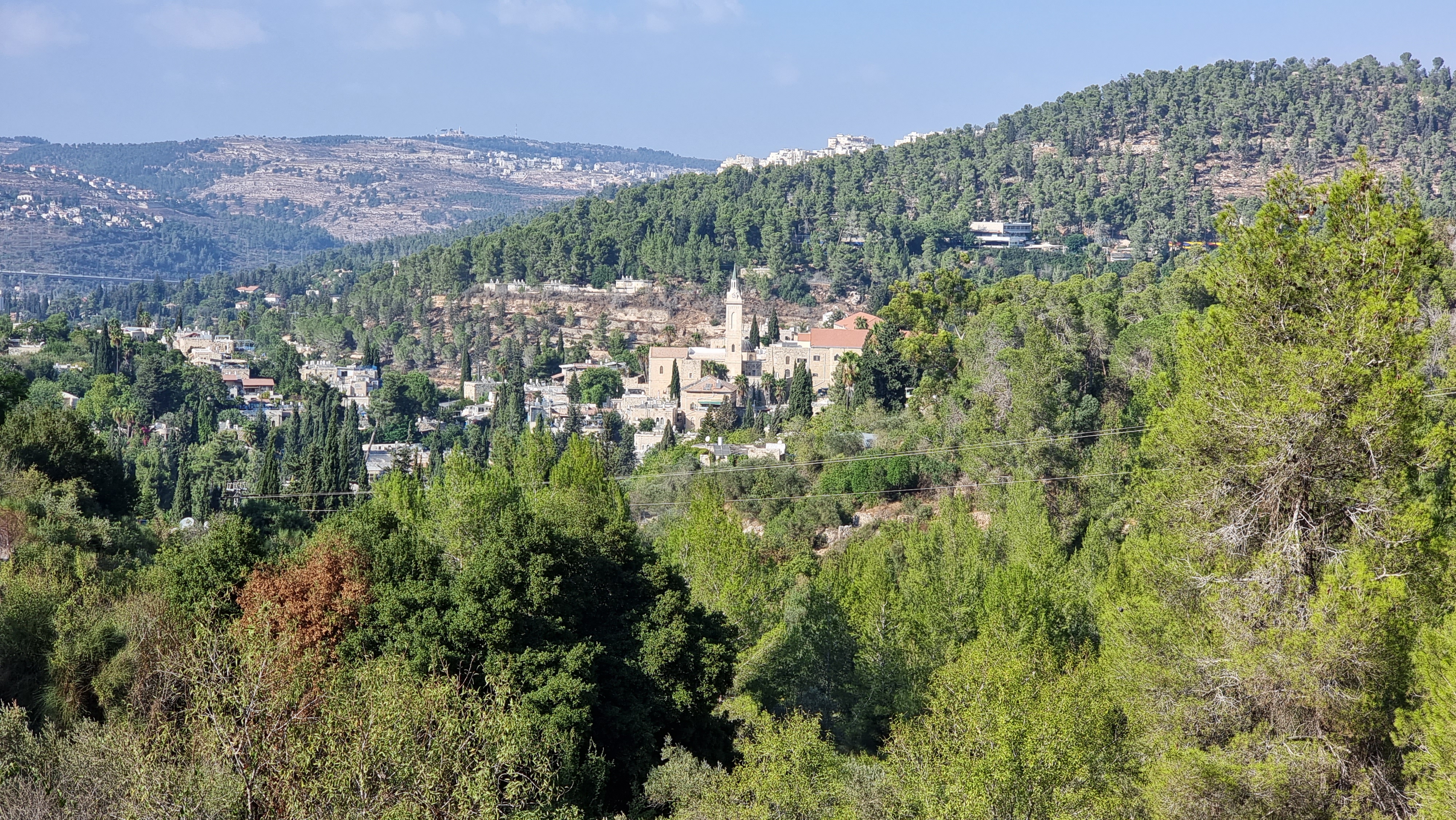 הטבע של עין כרם