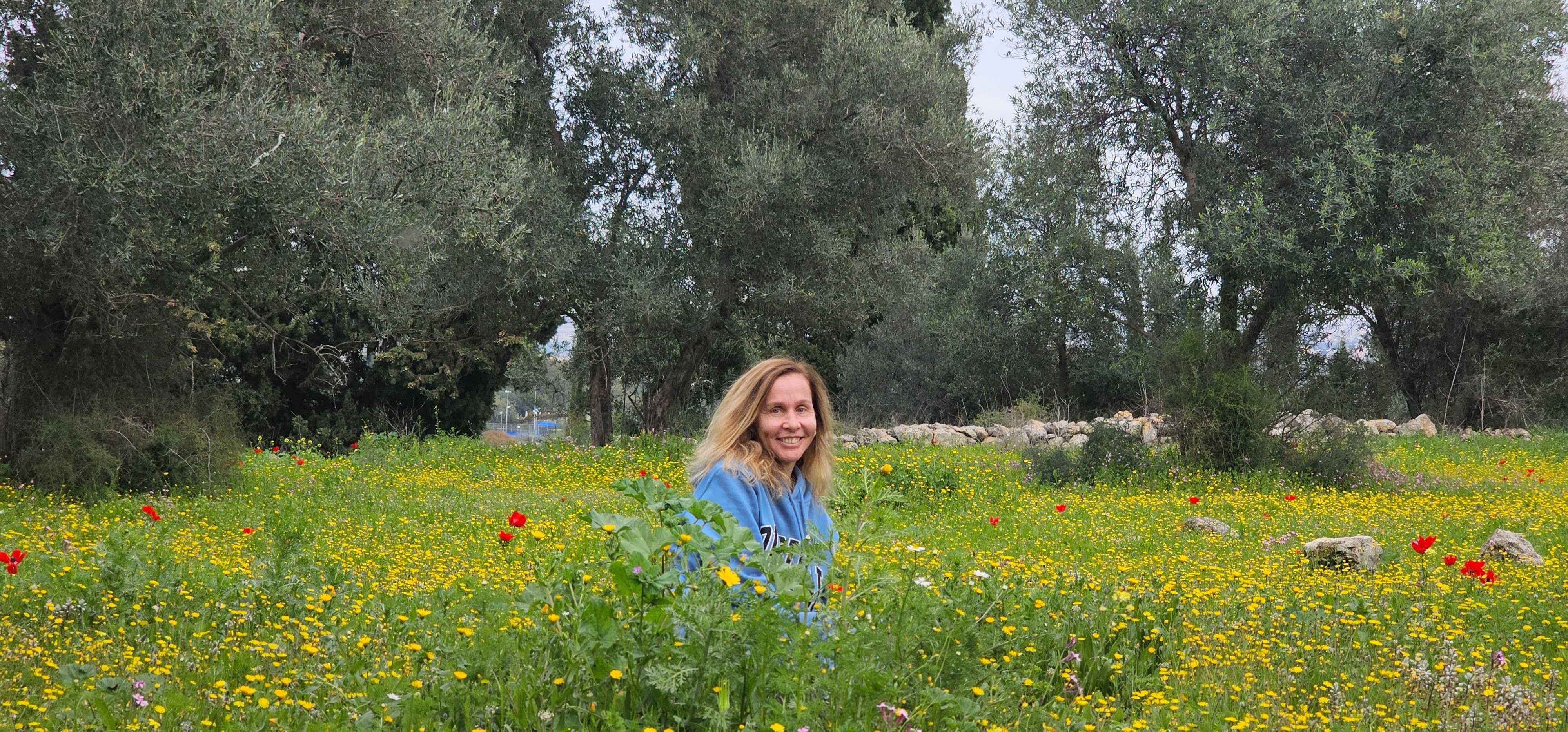 גבעת הברושים, מודיעין