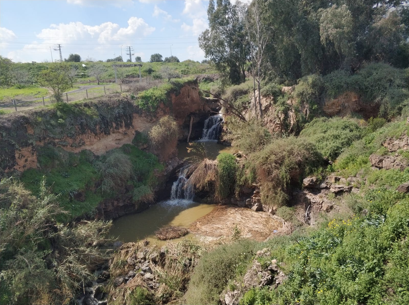 קניון הבזלת