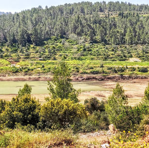 מאגר בית זית 
