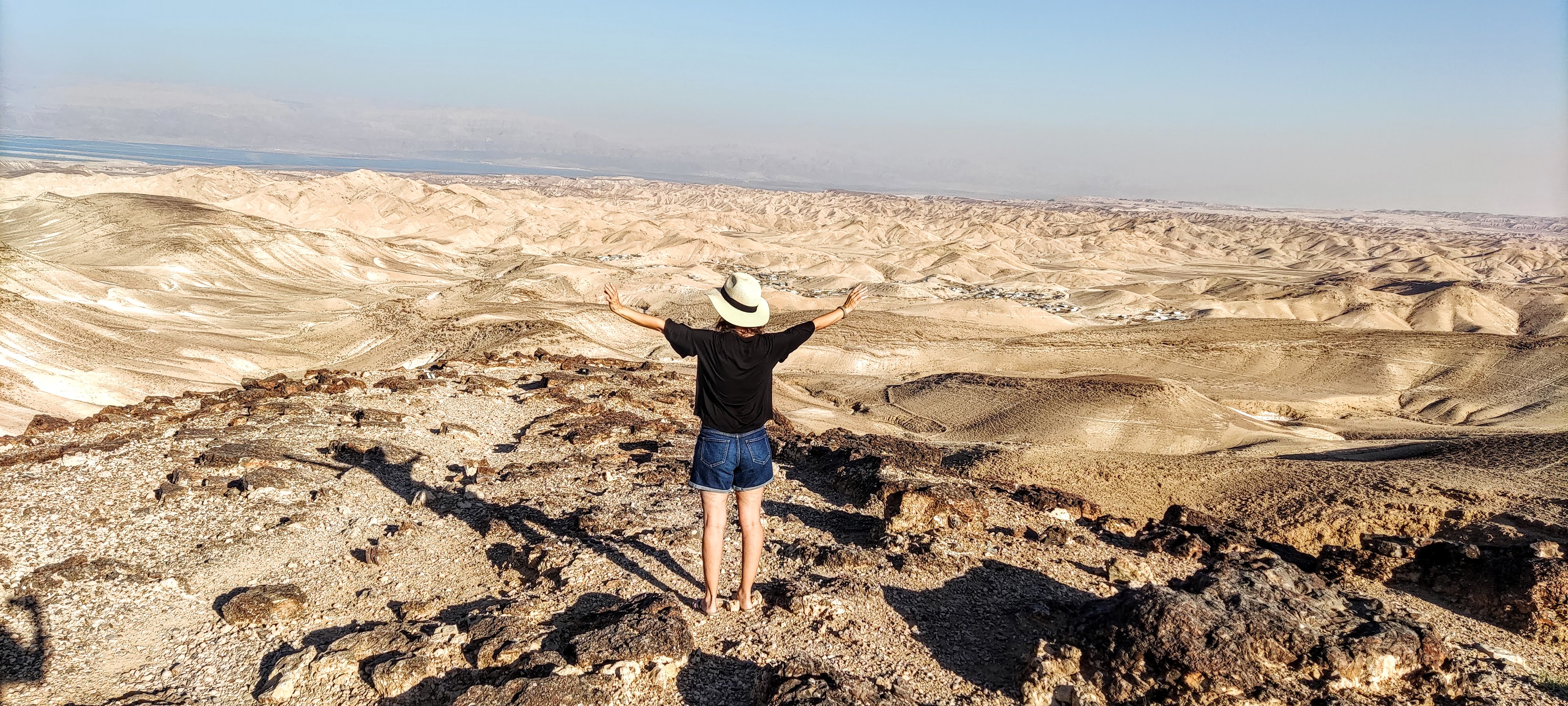 ערד