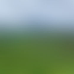 טיול בקרית טבעון  