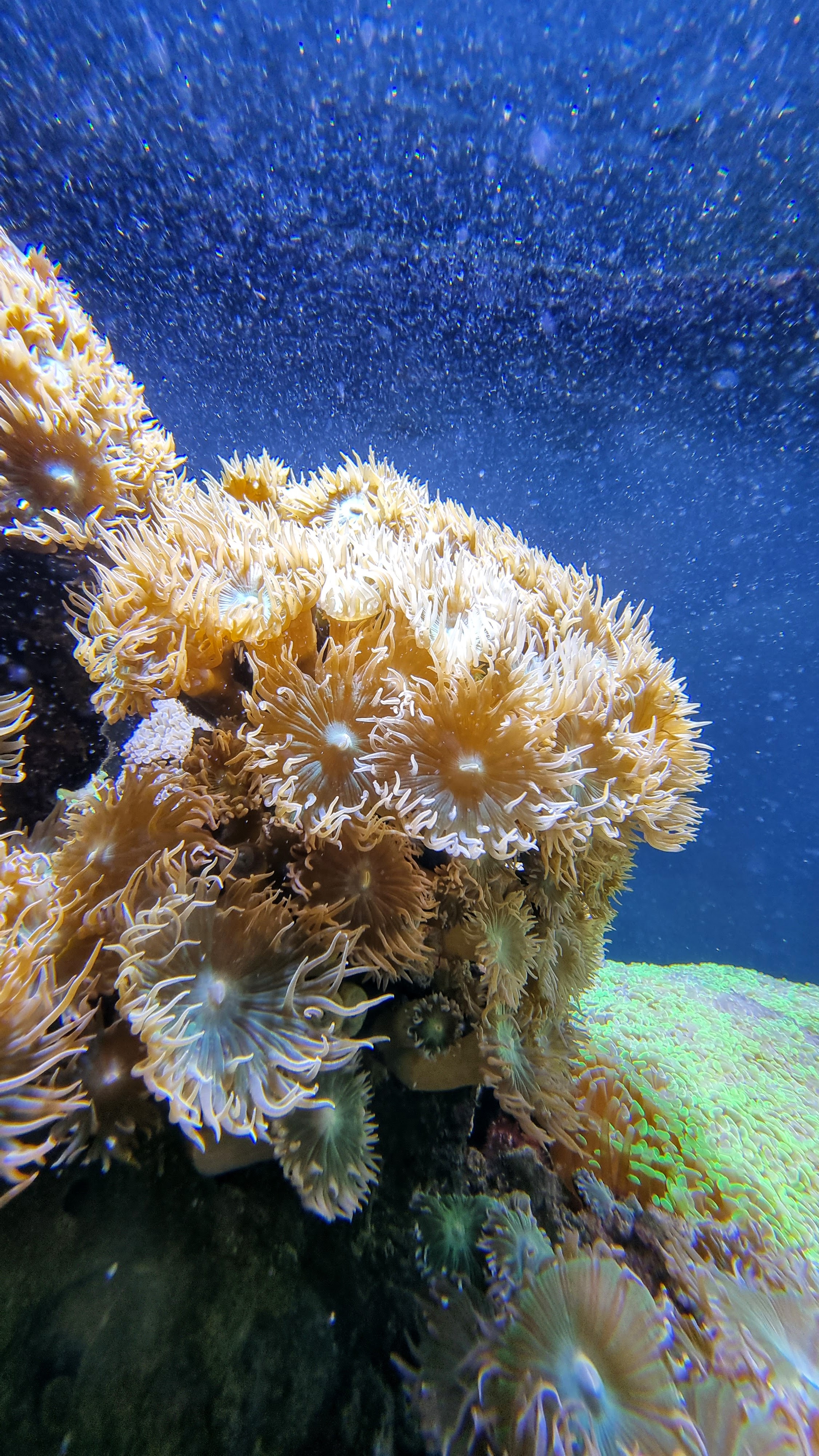 The aquarium during our 2022 visit
