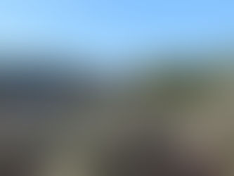 דרך הפסלים ביער צרעה