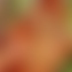 שני בתי קפה מקסימים ליד ירושלים