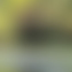 נחל שניר (החצבאני) - שני חופים