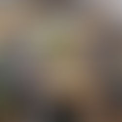 בית הריבות בקדמת צבי