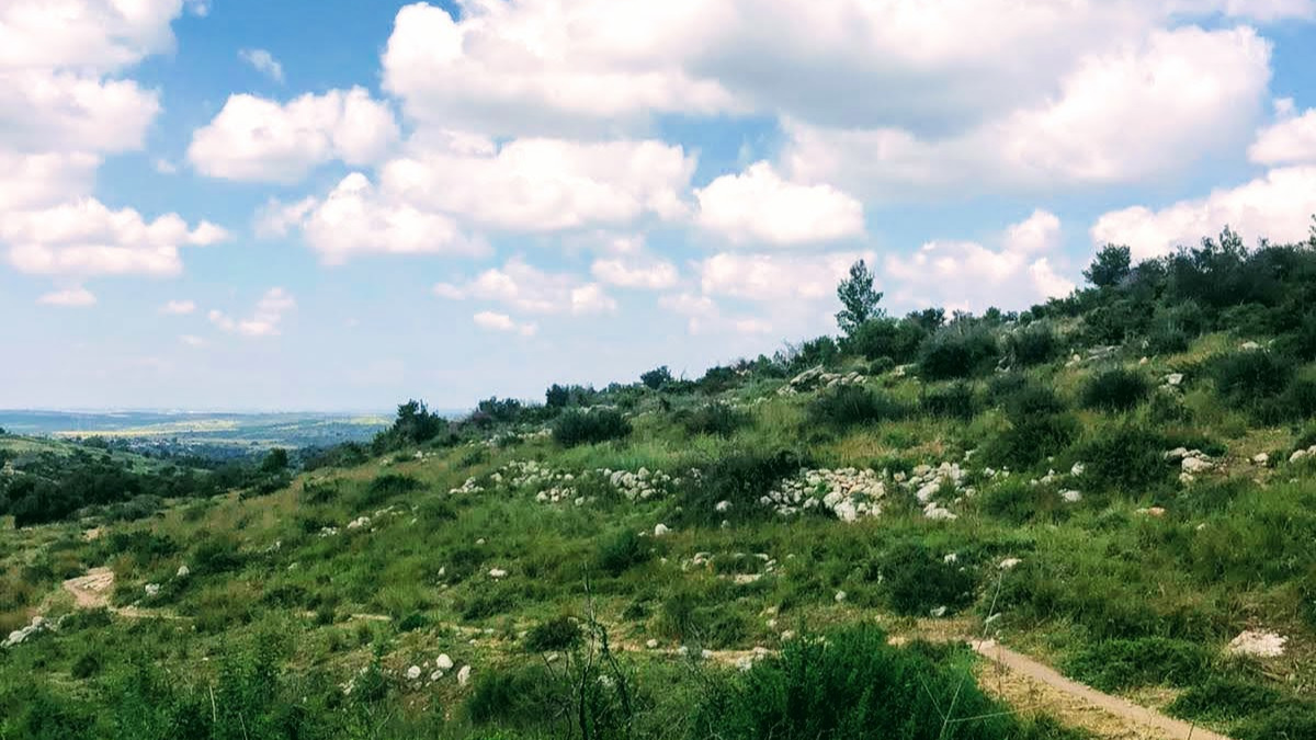 שביל הבארות והבורות