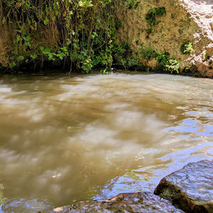 עין שריג - בריכה בהרי ירושלים