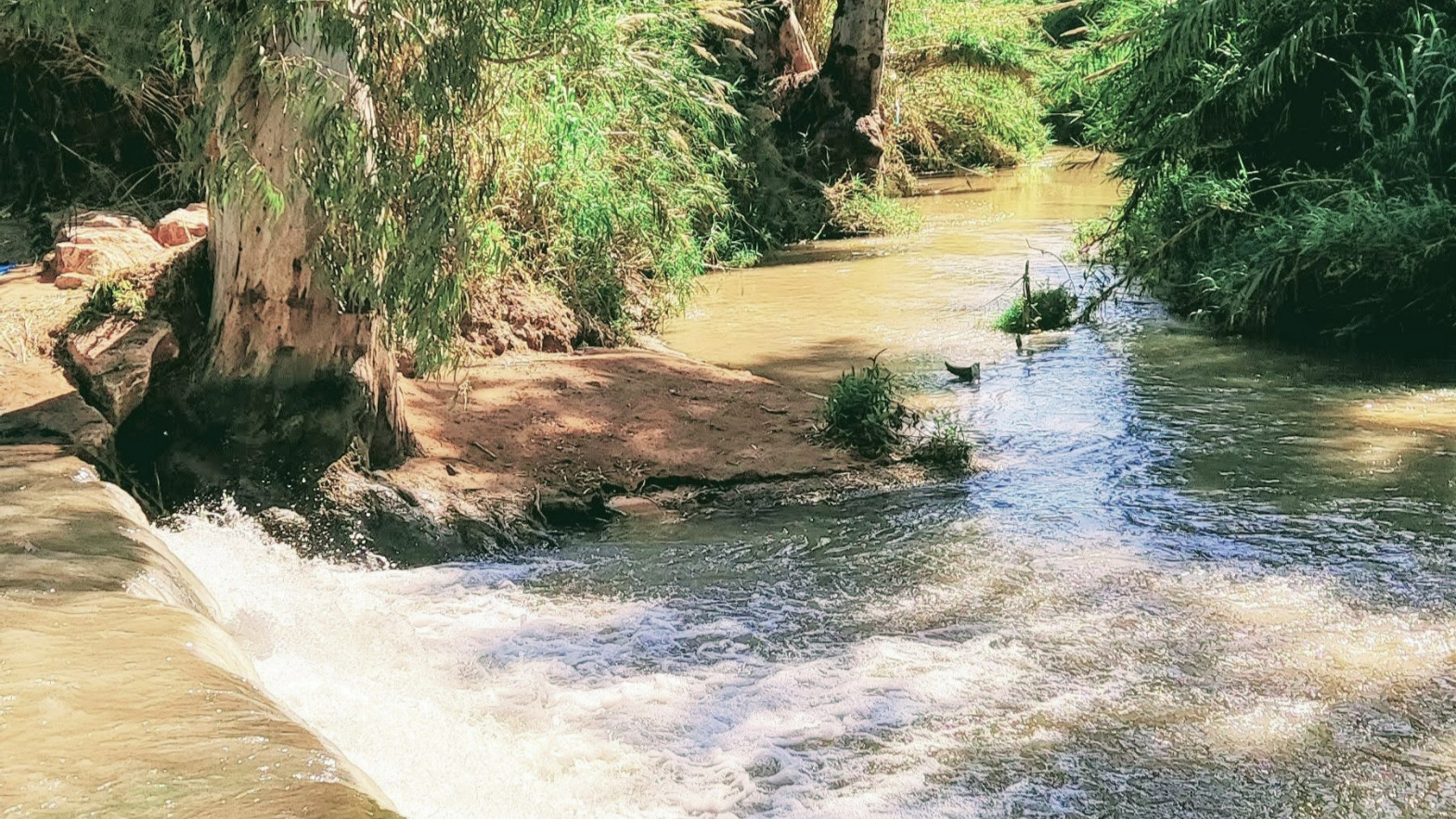 המפל הנסתר בשרונים